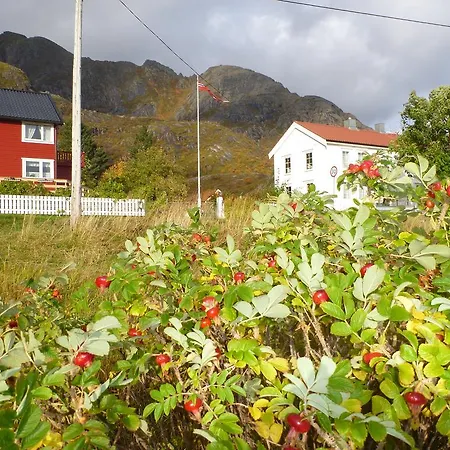 Nesland Lofoten
