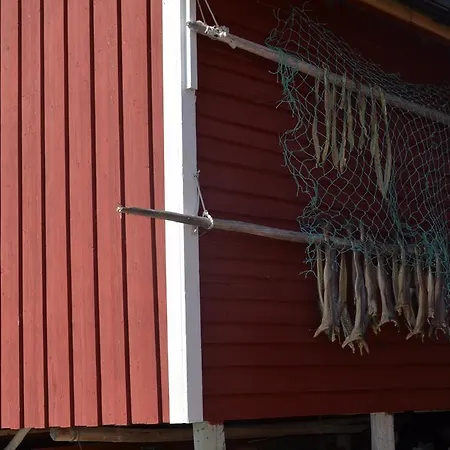 Nesland Lofoten *